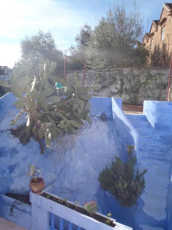 Dar Dalia Bed & Breakfast Chefchaouen Ngoại thất bức ảnh