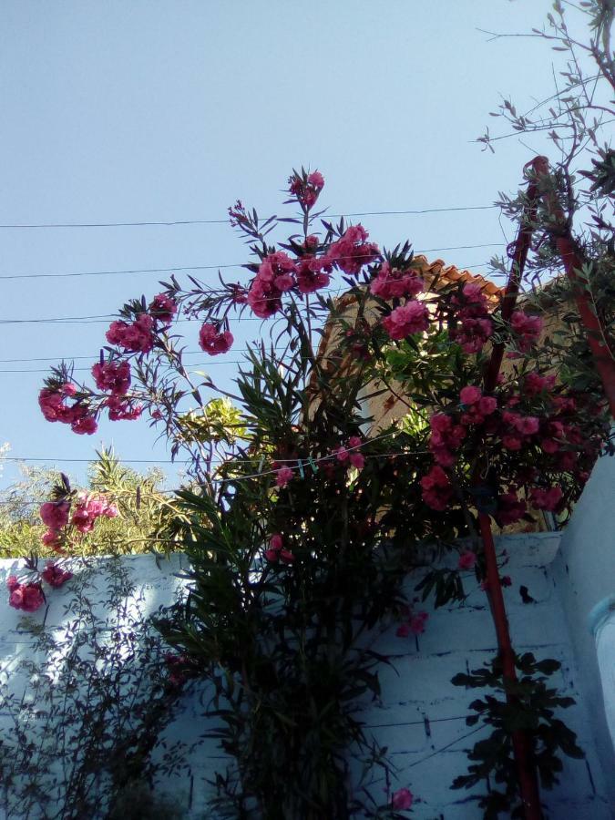 Dar Dalia Bed & Breakfast Chefchaouen Ngoại thất bức ảnh